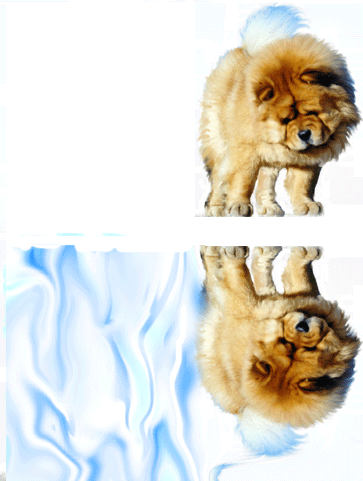 animation-10.gif